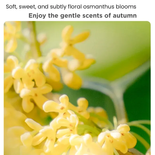 Fukumaru Mixed Litter Osmantus